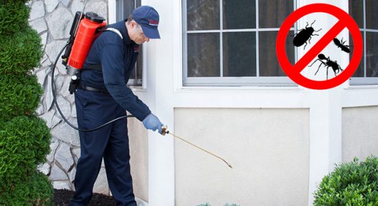 Yakakent Fare İlaçlama böcek ilaçlama ve haşere kontrolü — ilaclama-tr.com